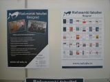 My Gallery (11/18)