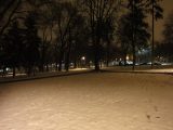 My Gallery (255/272)