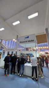 My Gallery (11/12)