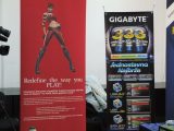 My Gallery (11/34)